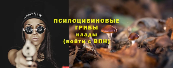 МДПВ Алзамай