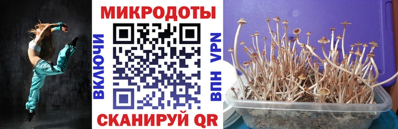 ссылка на мегу tor  Анапа  Галлюциногенные грибы Psilocybe 