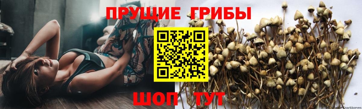 Галлюциногенные грибы GOLDEN TEACHER Анапа